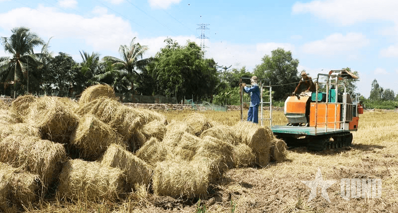 Chăn nuôi an toàn, tiết kiệm