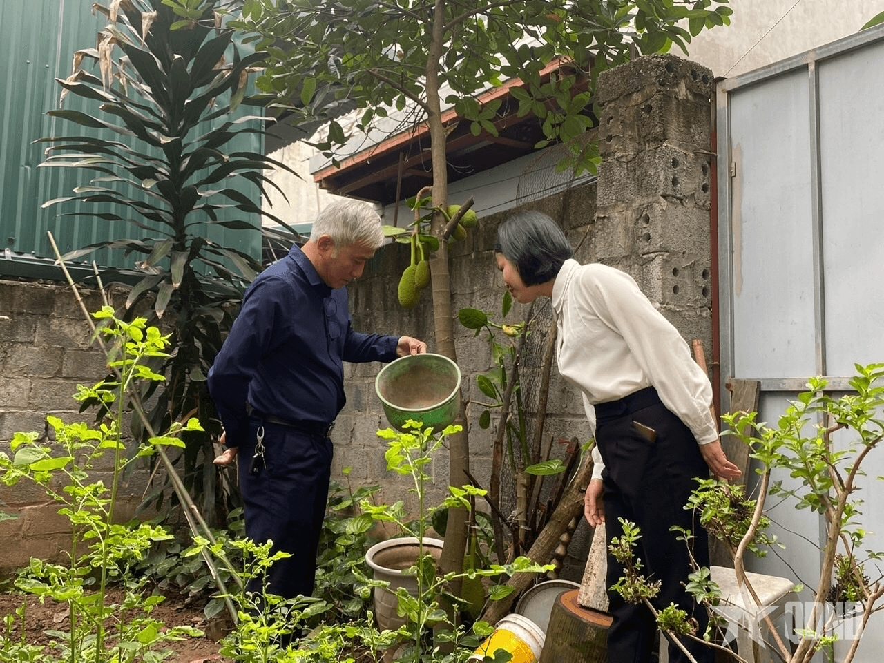 Việt Nam chưa ghi nhận ca bệnh Chikungunya nhưng nguy cơ cao