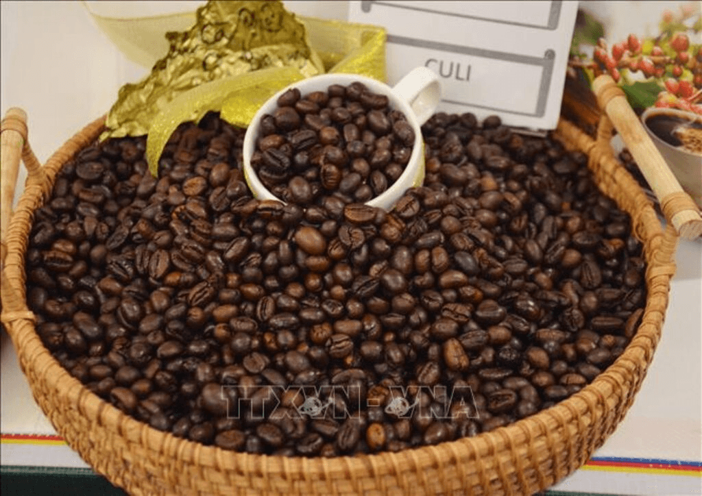 Bản tin nông sản hôm nay (14-8): Giá cà phê trong nước tiếp tục tăng