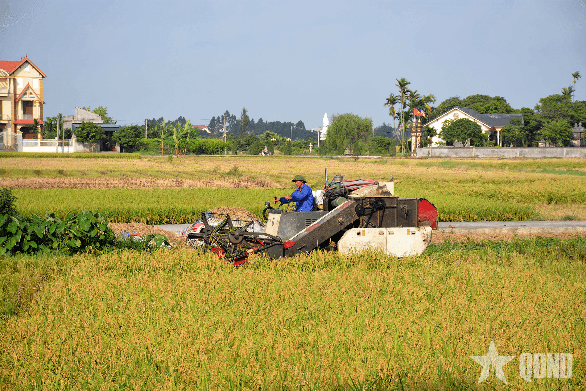 Nông nghiệp 80 năm xây dựng và phát triển cùng đất nước