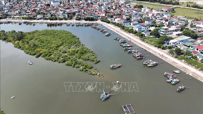 Chỉ đạo của Ban Bí thư về ứng phó với cơn bão số 5 (Kajiki)