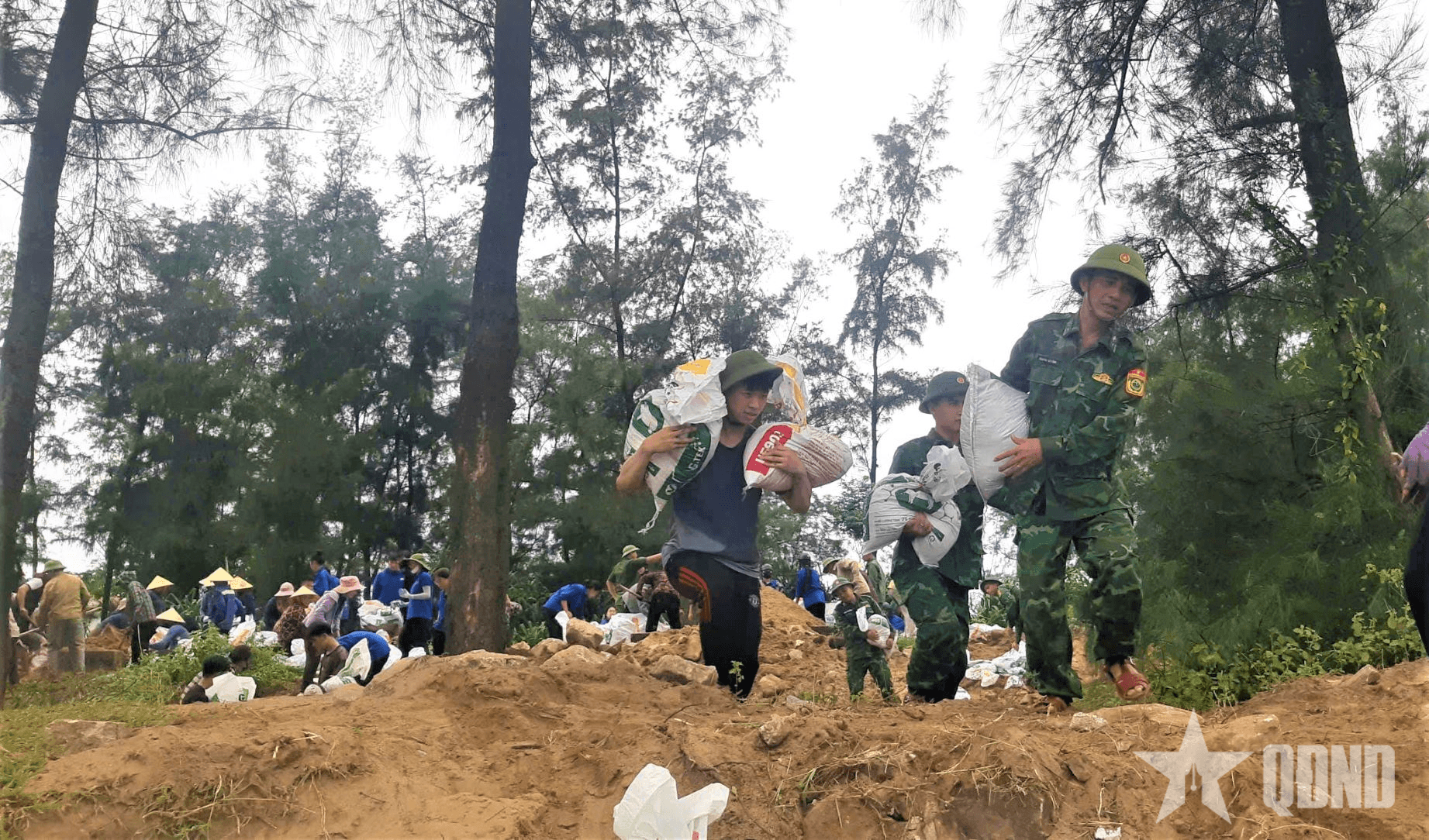Bộ đội Biên phòng Hà Tĩnh giúp dân ứng phó bão số 5