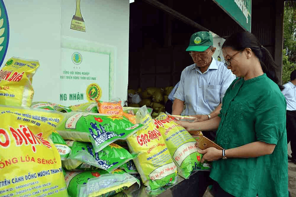 Nông nghiệp và môi trường hướng tới tương lai xanh, hiện đại và bền vững