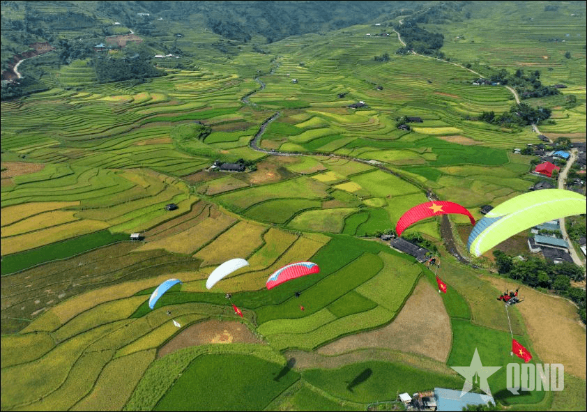 Xanh những giấc mơ đồng quê