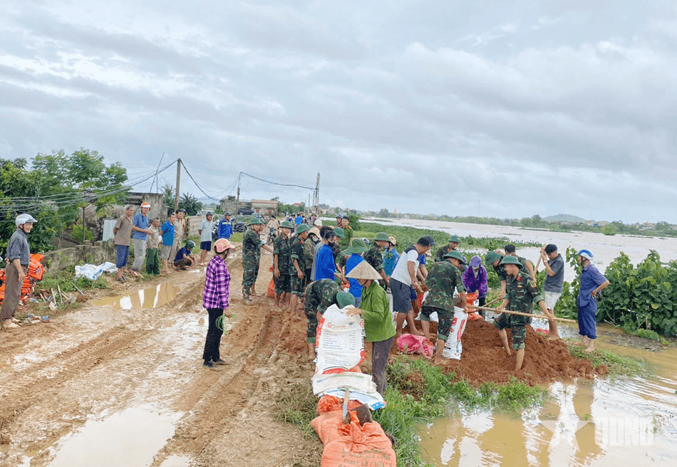 200 cán bộ, chiến sĩ Sư đoàn 390, Quân đoàn 12 gia cố đê sông Hoạt ở xã Hà Long (Thanh Hóa)