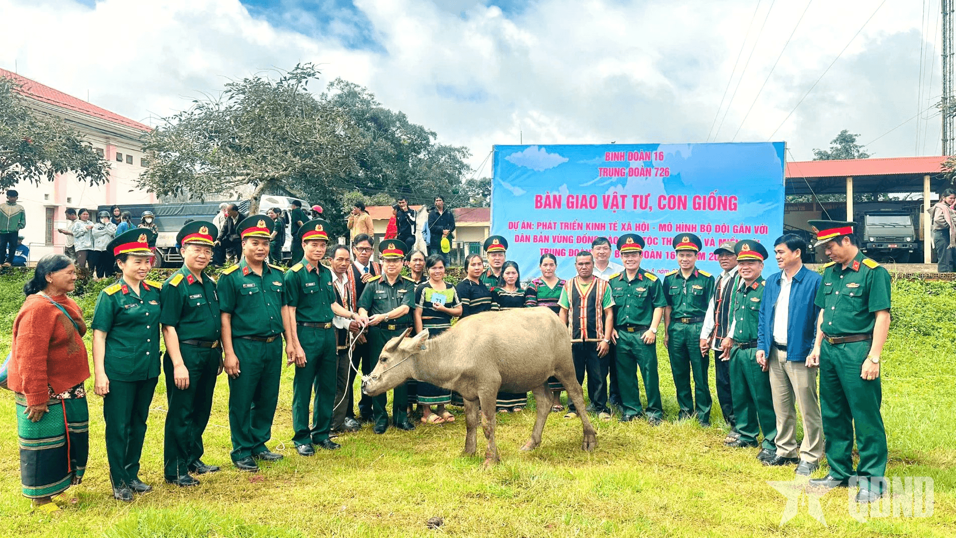 Trung đoàn 726 (Binh đoàn 16) trao trâu, bò giống sinh sản tặng đồng bào dân tộc thiểu số