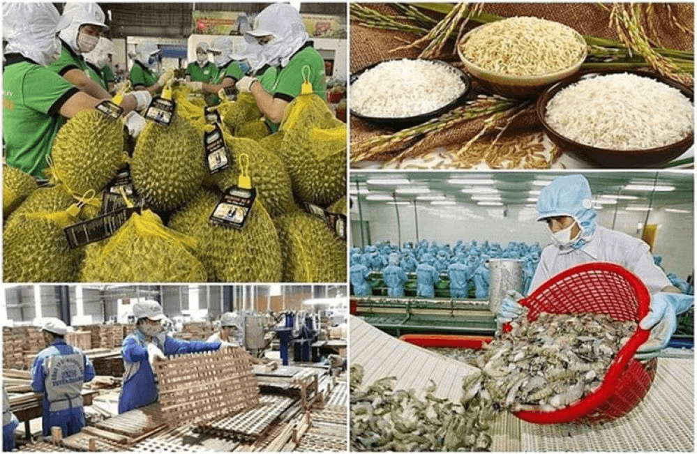 Thủ tướng yêu cầu tăng cường truy xuất nguồn gốc, đảm bảo chất lượng nông, lâm, thủy sản xuất khẩu