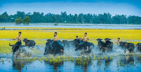 Mùa đồng ngập nước