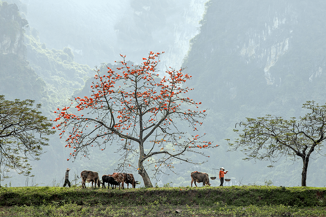 Giữ lấy nếp làng