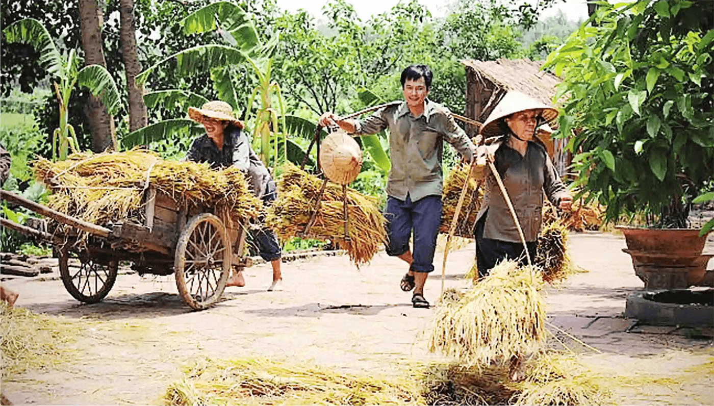 Tự sự trên cánh đồng