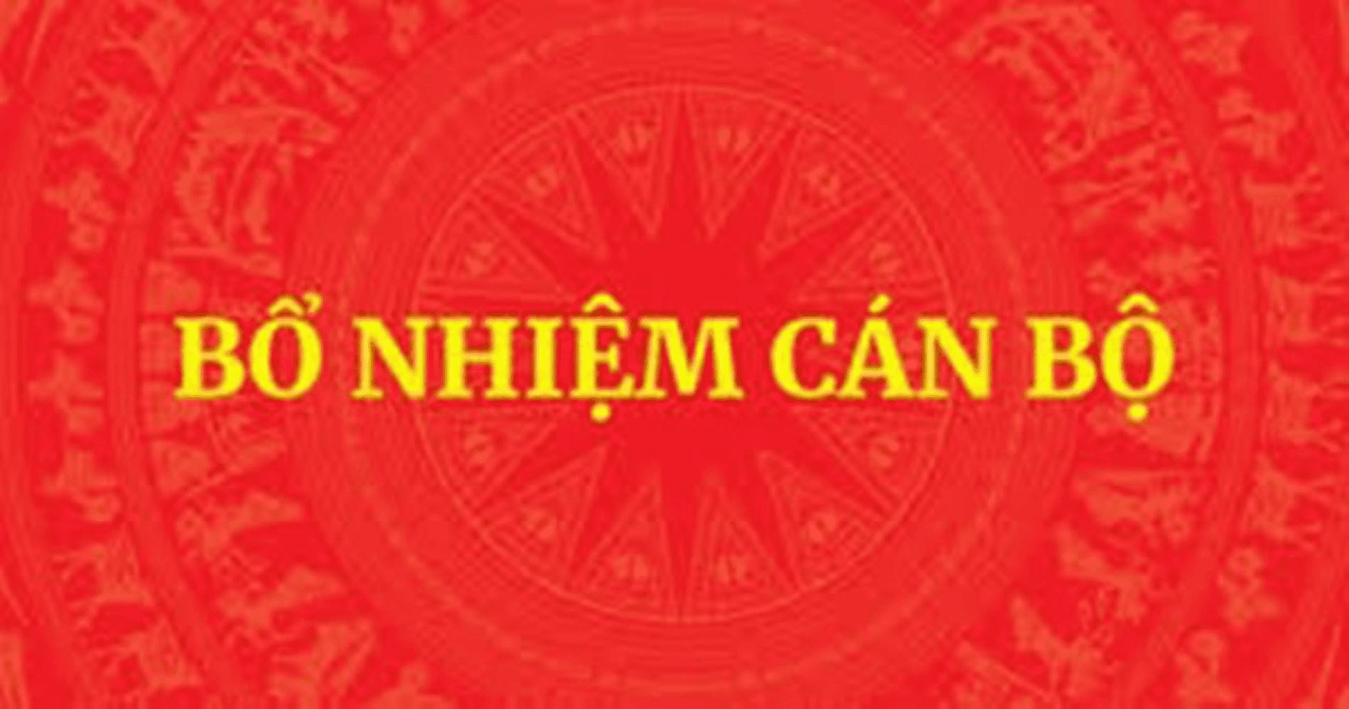 Thủ tướng quyết định bổ nhiệm lãnh đạo một số bộ, cơ quan