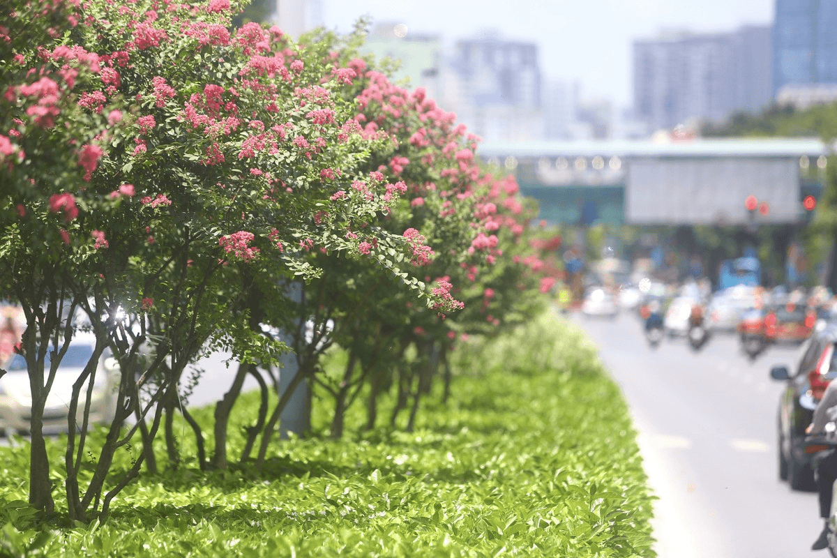 Thời tiết hôm nay (4-9): Bắc Bộ ngày nắng, Nam Bộ có mưa rào và dông