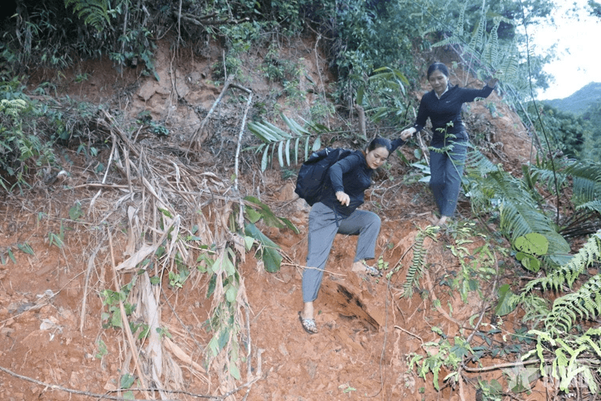 Nghệ An: Cô giáo mầm non vượt núi, băng rừng tới điểm bản đón học sinh tới lớp