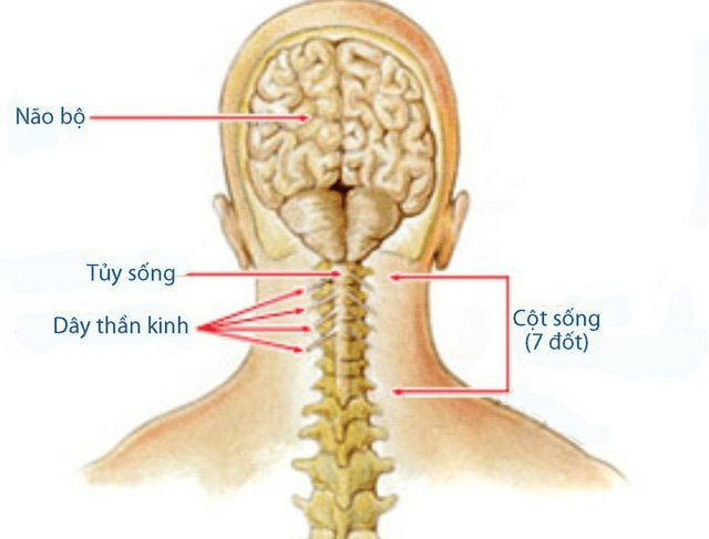 Không tự ý tiêm thuốc tại những cơ sở không bảo đảm