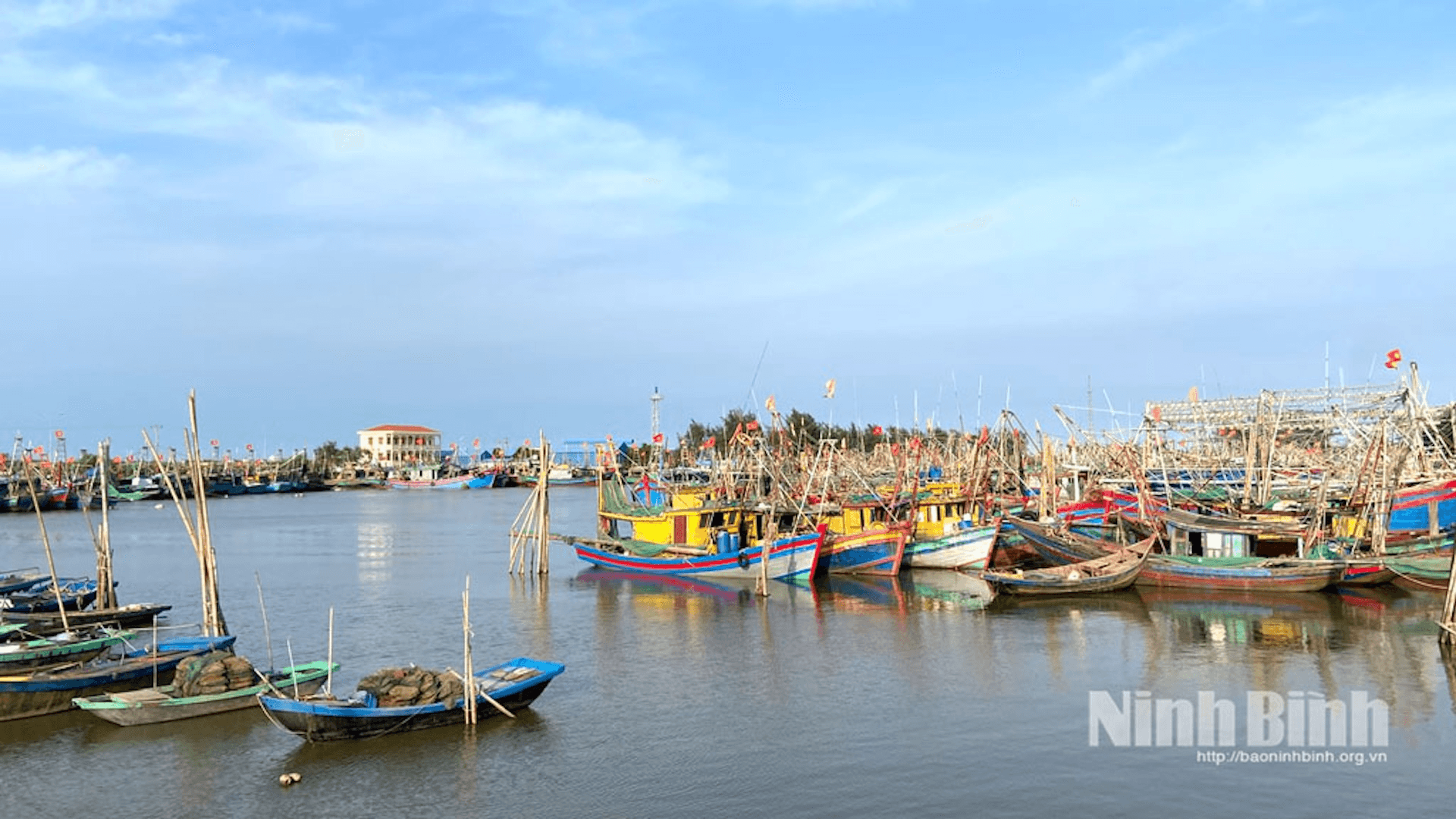 Ninh Bình quyết liệt chống khai thác hải sản bất hợp pháp