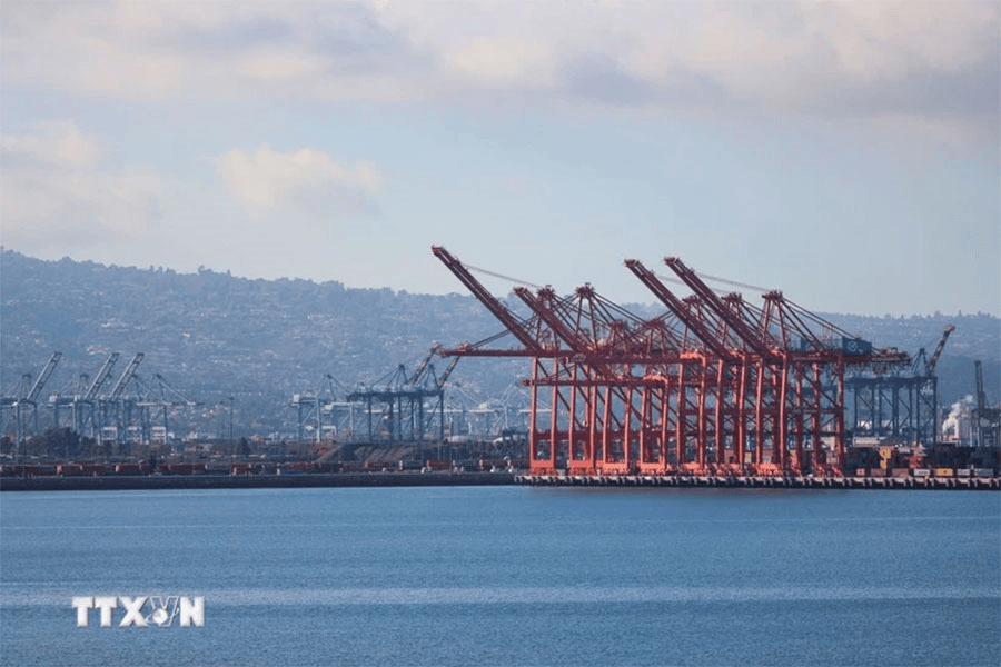 Mỹ: Tai nạn tàu biển khiến cảng lớn ở California phải đóng cửa