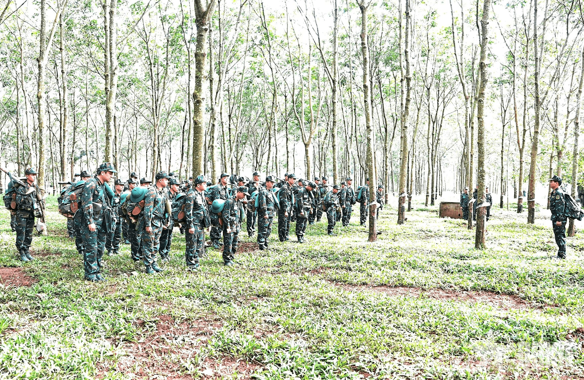 Quân đoàn 34 nâng cao khả năng tác chiến
