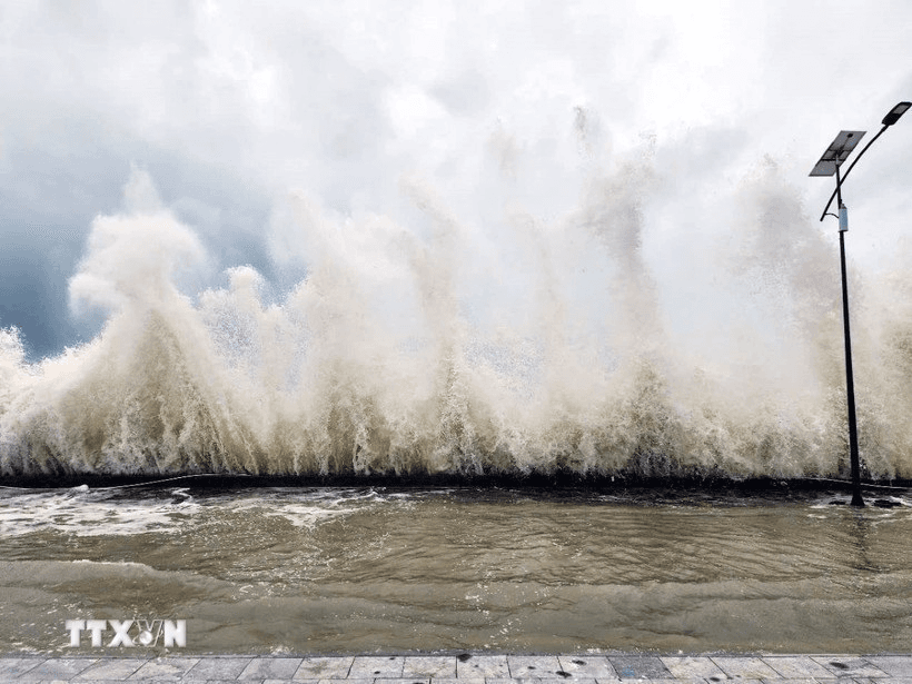 Từ Quảng Ninh đến Đắk Lắk chủ động ứng phó với bão số 8