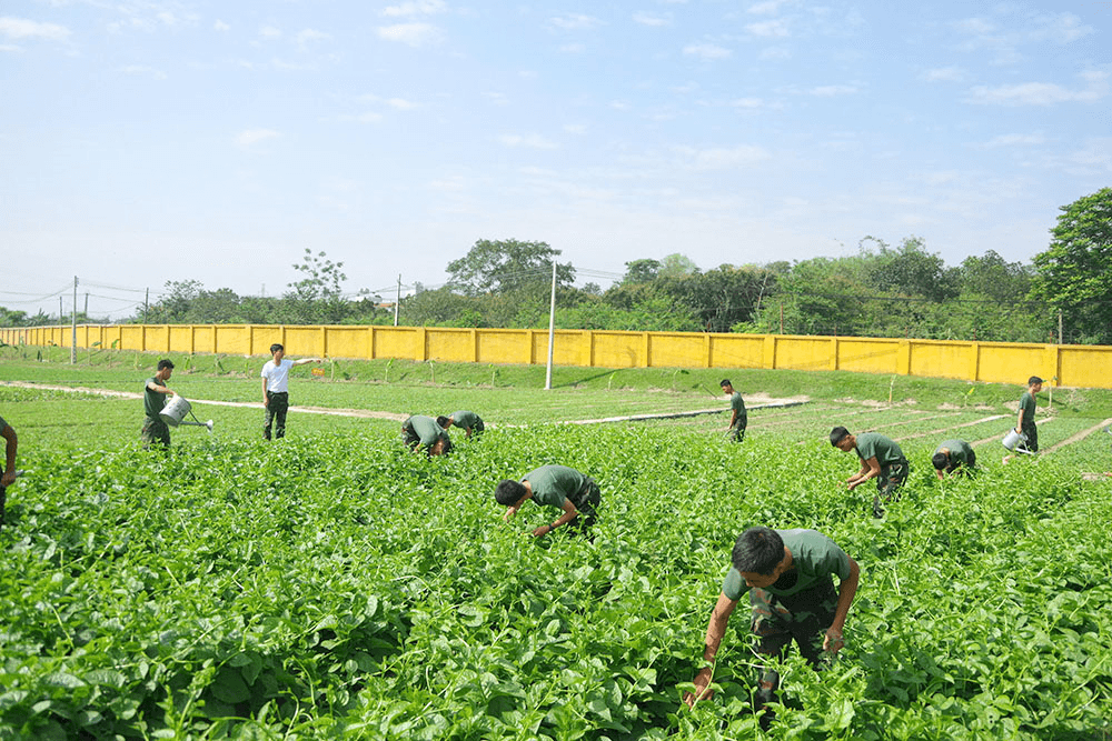 Khi học Bác trở thành việc làm thường xuyên