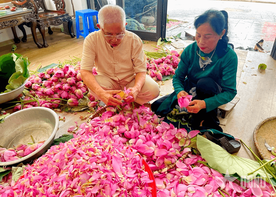 Níu hồn Hà Nội trong hương sen