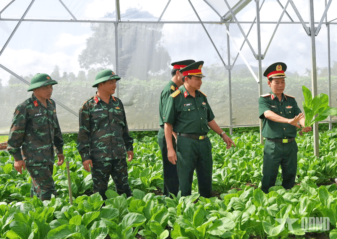 Hiệu quả từ Đề án QN-21 ở Trung đoàn 66