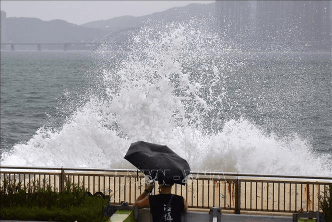 Trung Quốc: Hong Kong và Macau nâng cảnh báo siêu bão Ragasa lên mức cao nhất