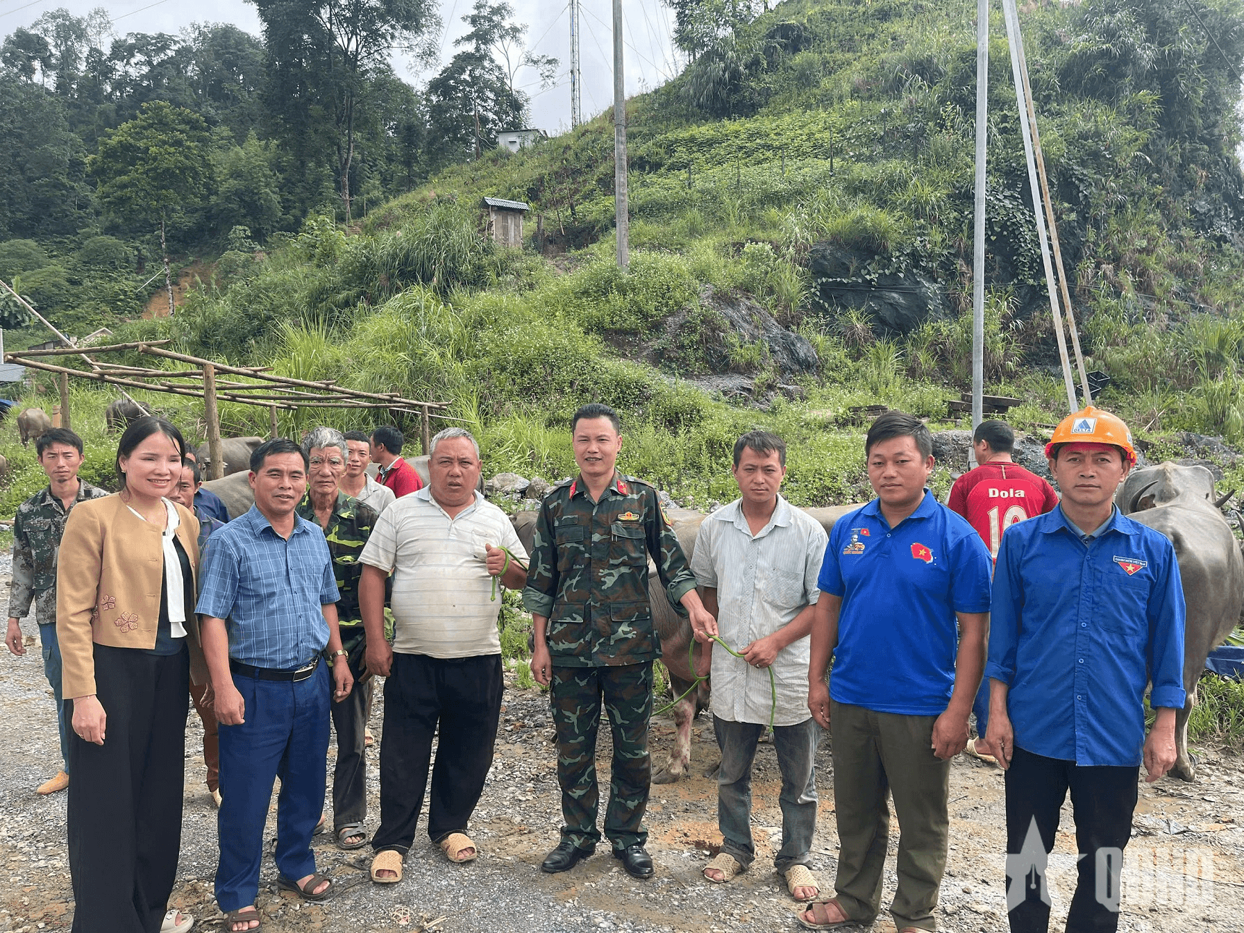 Đoàn Kinh tế - Quốc phòng 345 (Quân khu 2): Bàn giao cây, con giống hỗ trợ đồng bào tại Lào Cai