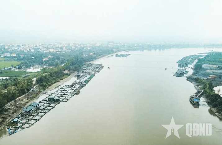 Khó phát triển vì thiếu nguồn cung giống tốt