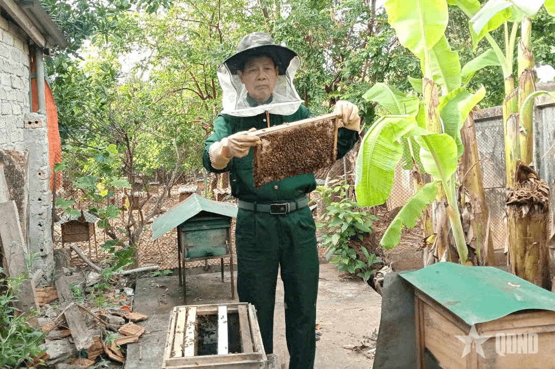 Mô hình nuôi ong hiệu quả của một cựu chiến binh