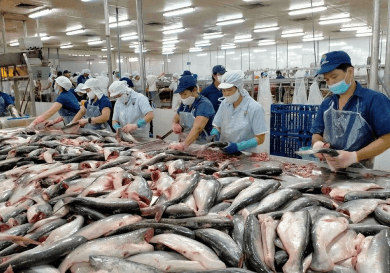 Người Phát ngôn Bộ Ngoại giao: Việt Nam sẵn sàng trao đổi với Hoa Kỳ về vấn đề nhập khẩu hải sản