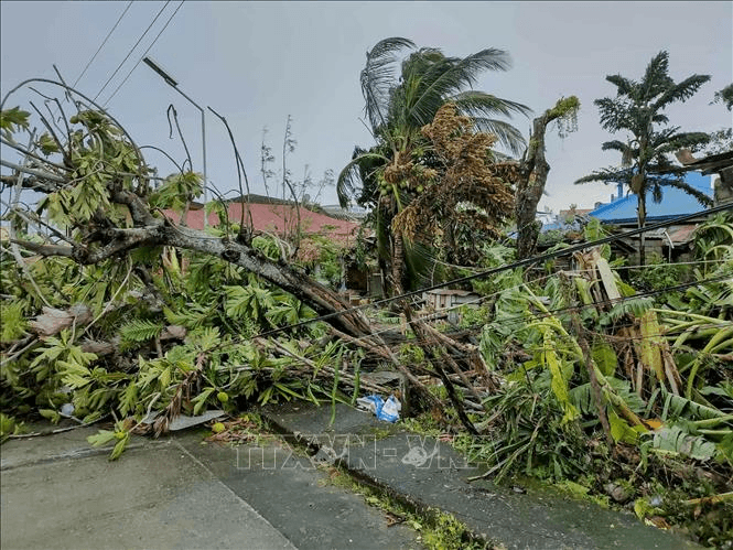 Ít nhất 4 người thiệt mạng khi bão Bualoi càn quét Philippines