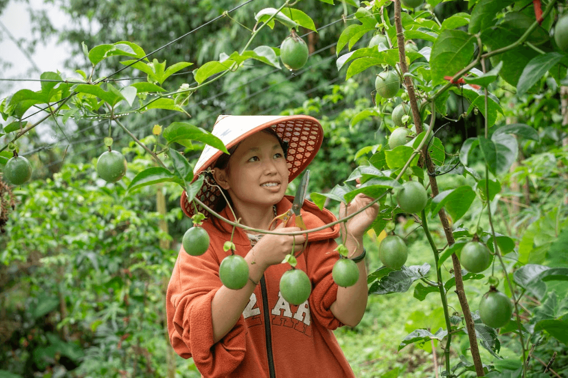 Hành trình trao cơ hội làm chủ kinh tế cho thanh niên dân tộc thiểu số ở Lai Châu
