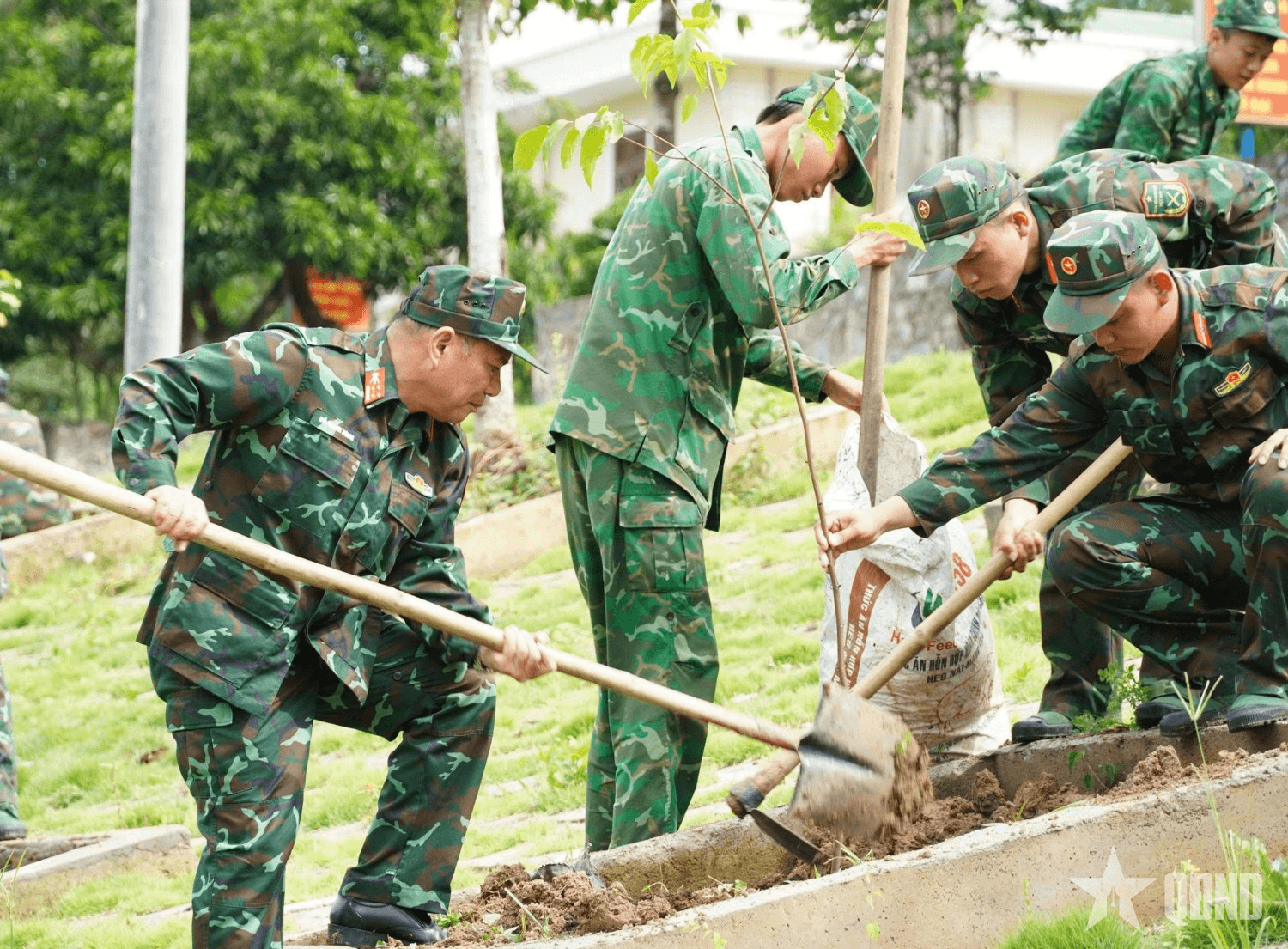 Trường Trung cấp Kỹ thuật miền Trung phát động trồng cây “Đời đời nhớ ơn Bác Hồ”