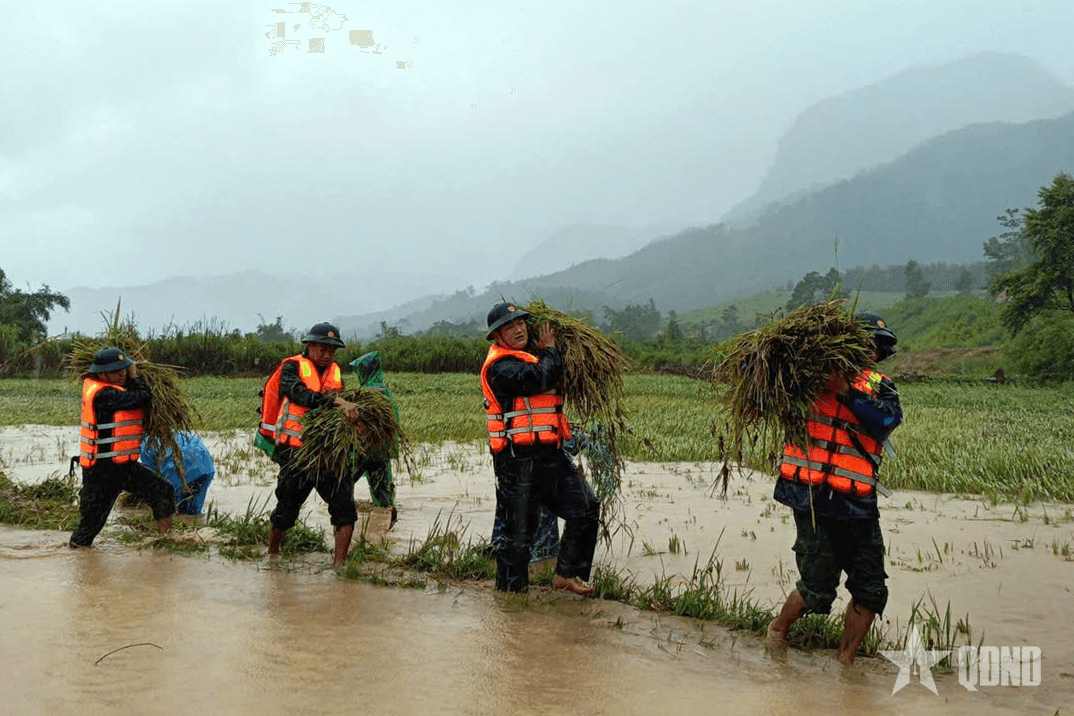 Bộ đội Biên phòng TP Huế hỗ trợ nhân dân ứng phó bão số 10