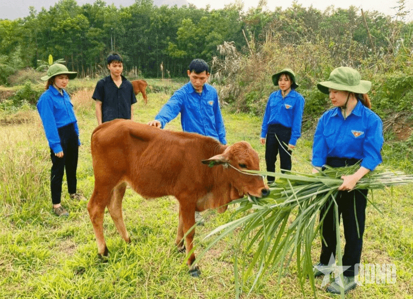 Gắn bó với vùng biên Đông Bắc