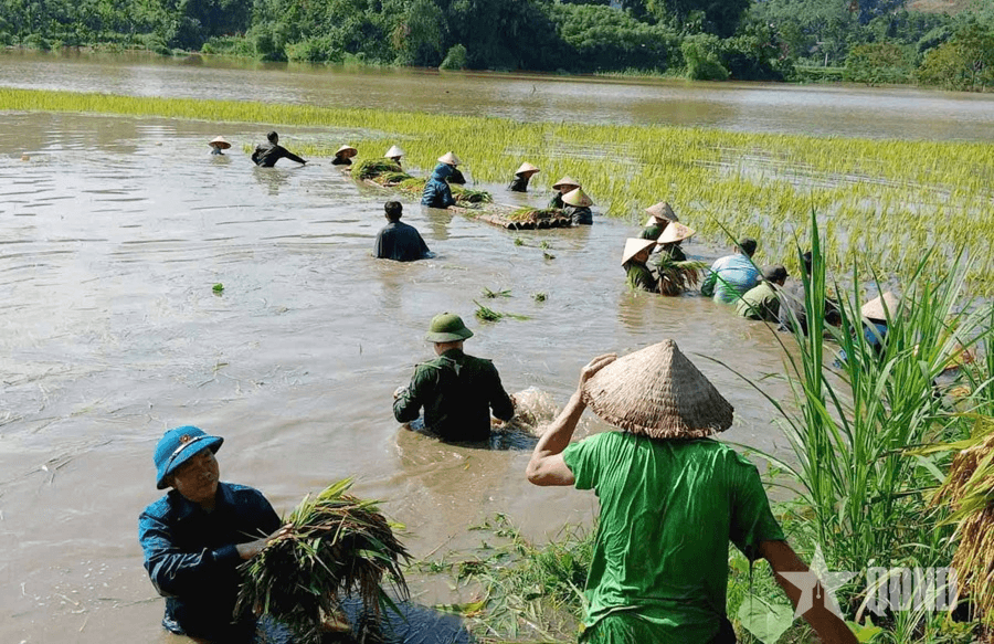 Quân khu 2 - Điểm tựa của nhân dân trong mưa lũ
