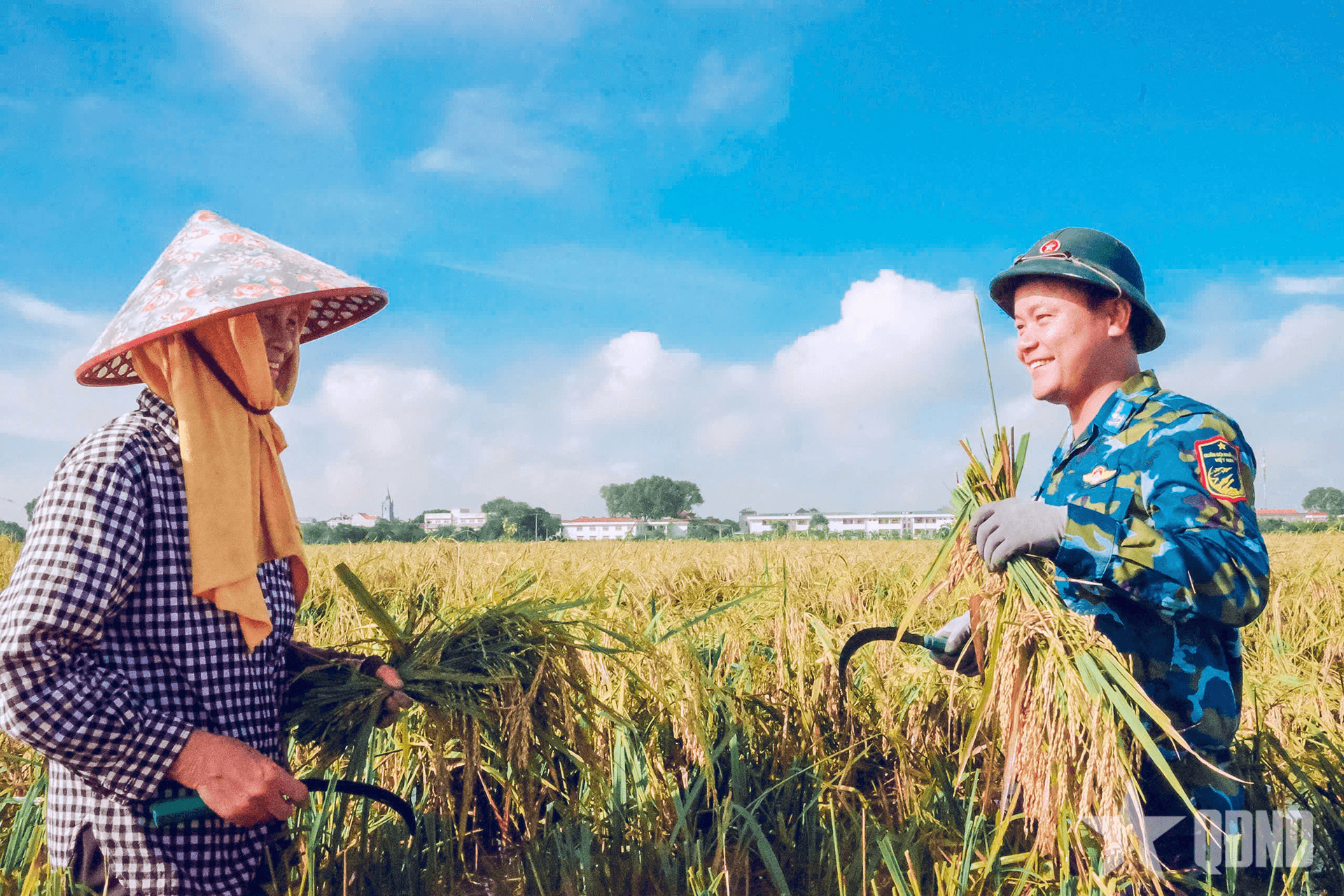 Bộ đội Phòng không - Không quân giúp dân khắc phục hậu quả bão số 10