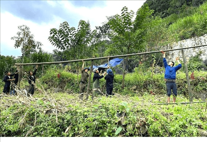 Ứng phó bão số 11: Chủ động sơ tán 31 hộ dân ở Lũng Cú khỏi vùng nguy cơ sạt lở