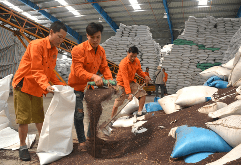 Nền kinh tế đạt mức tăng trưởng cao