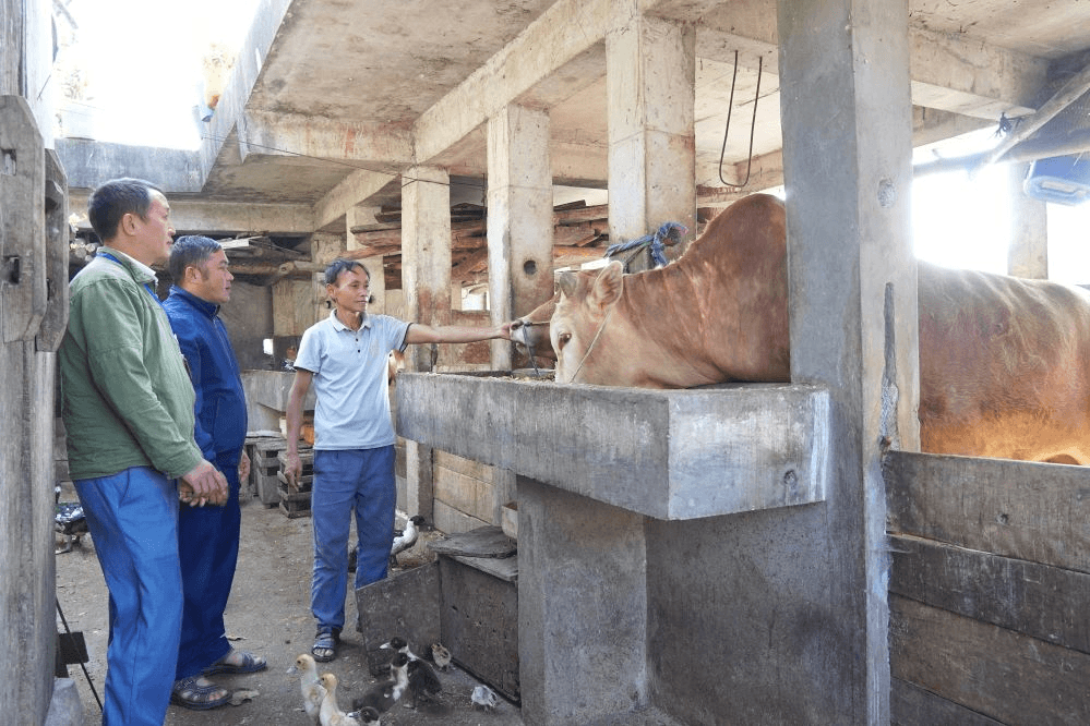 Vùng cao đổi thay từng ngày