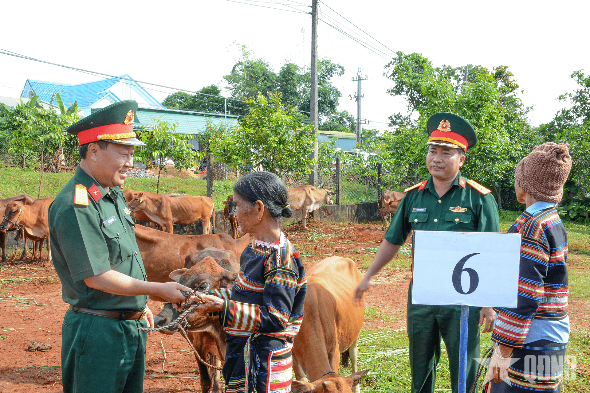Đoàn Kinh tế - Quốc phòng 72 trao bò giống giúp đồng bào thoát nghèo bền vững