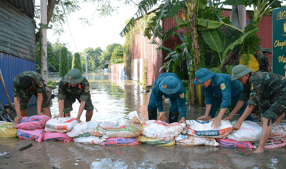 Hộ đê, chống ngập ở Trung Giã