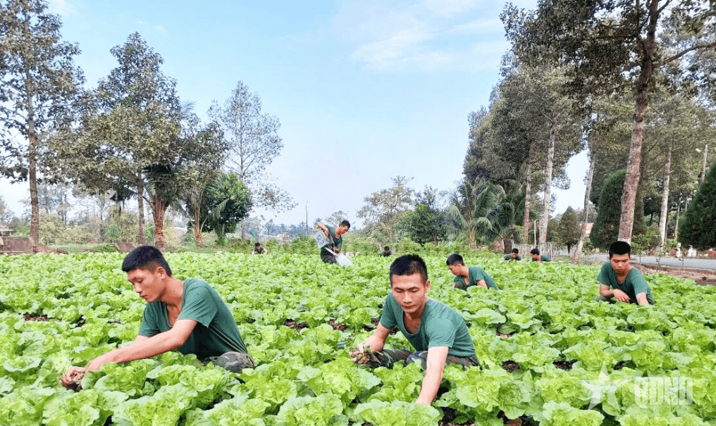 Ống kính bạn đọc: Khéo tay nuôi trồng