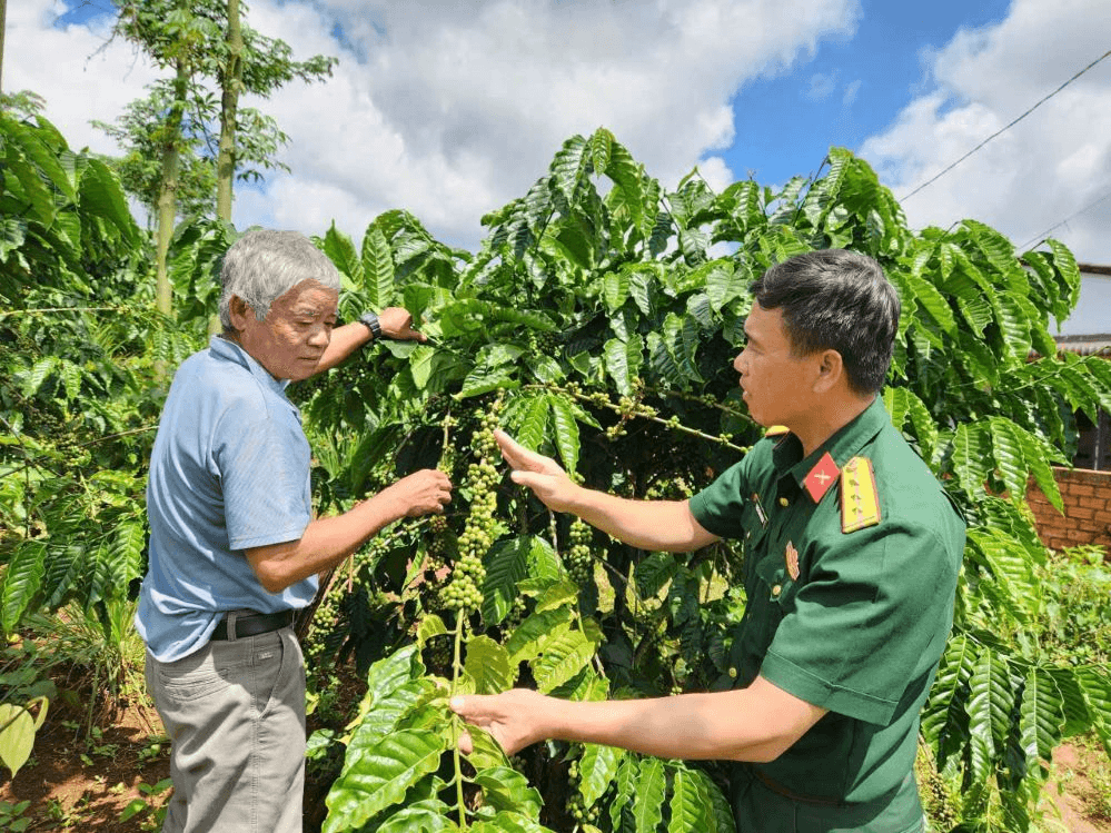 “Cà phê lính” trên miền đất đỏ bazan