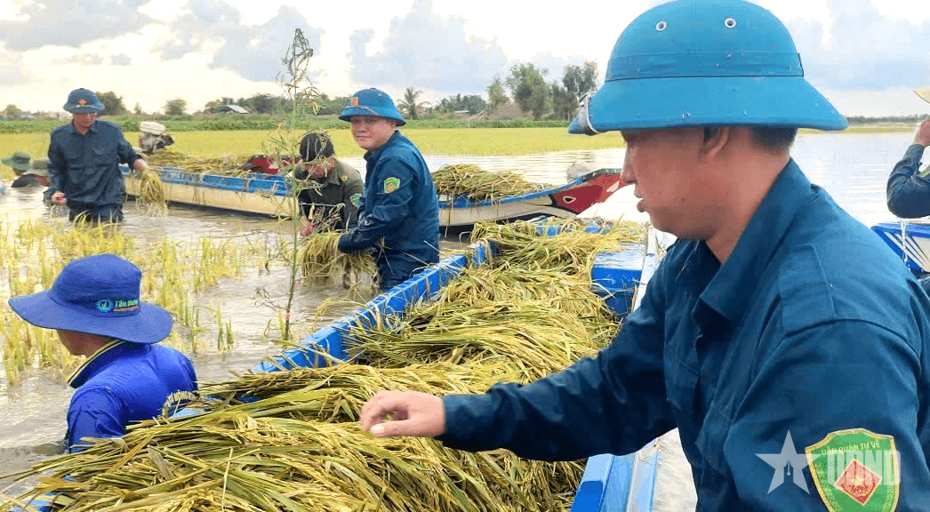 LLVT tỉnh Tây Ninh: Không ngại vất vả giúp dân lúc nguy nan