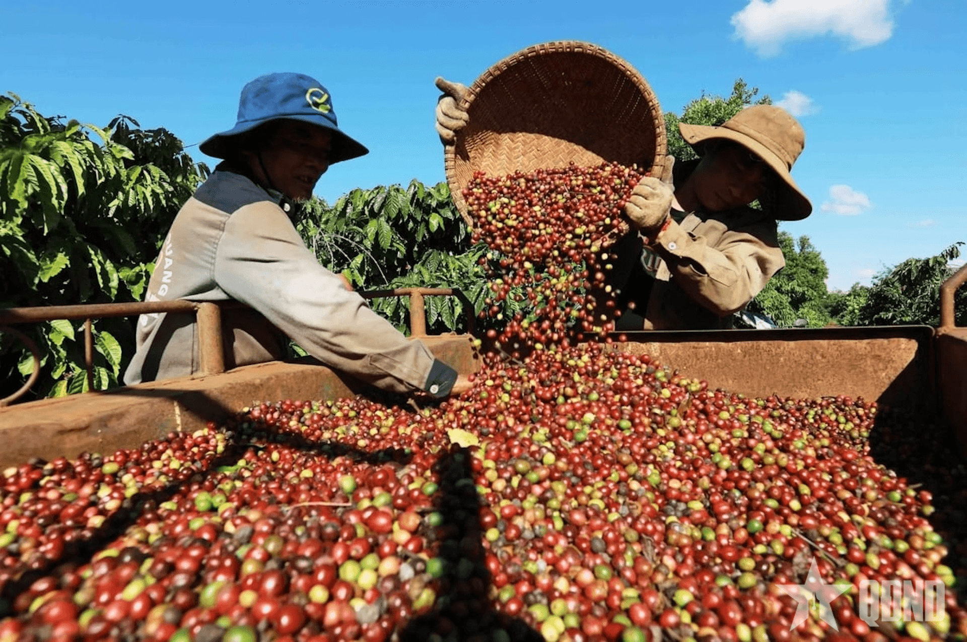 Sắp diễn ra Tuần lễ Nông sản Việt 2025 tại trung tâm Hà Nội