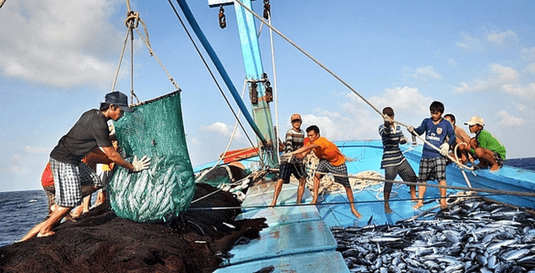 Thủ tướng yêu cầu tập trung thực hiện tháng cao điểm chống khai thác hải sản bất hợp pháp