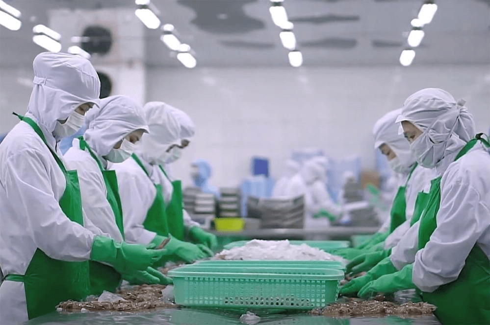 Xuất khẩu nông, lâm, thủy sản năm 2025: Vượt thách thức, khai thác dư địa tăng trưởng