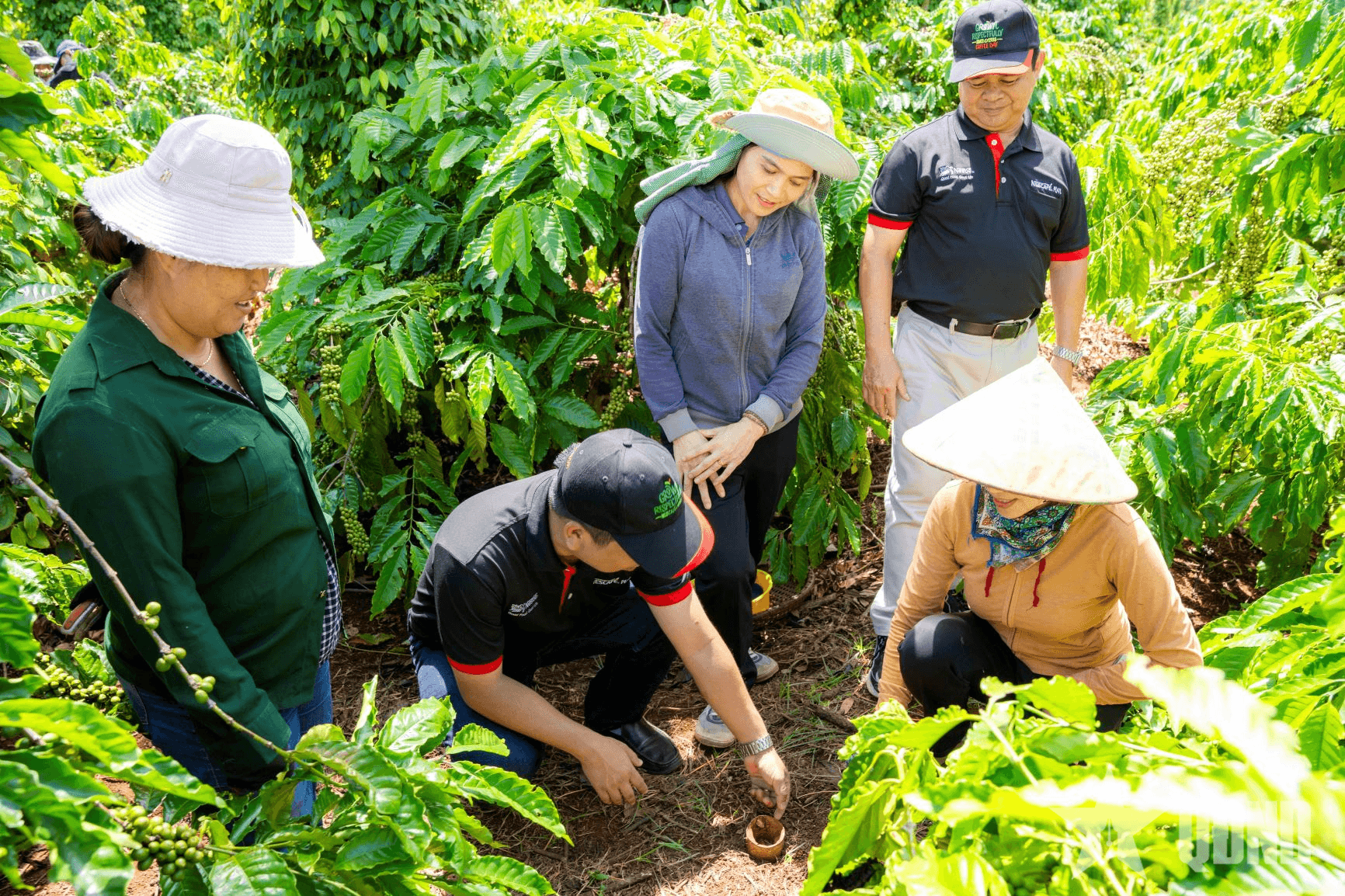NESCAFÉ Plan - Hành trình 14 năm thúc đẩy nông nghiệp tái sinh và sự phát triển bền vững của ngành cà phê