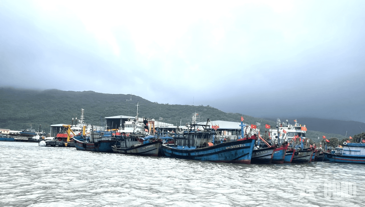 Đà Nẵng chủ động ứng phó với bão số 12